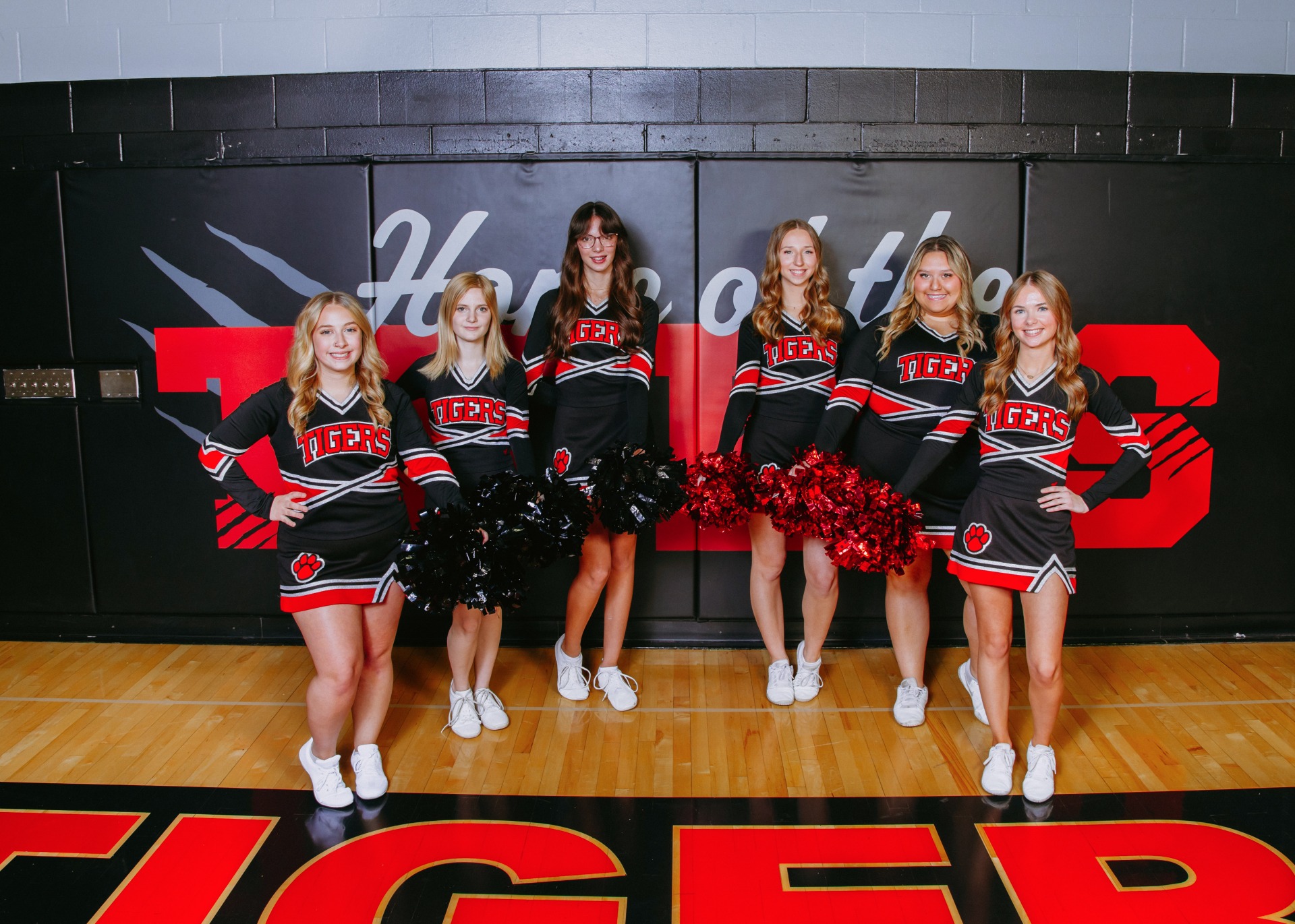 South Hardin Basketball cheerleaders taking a team picture.